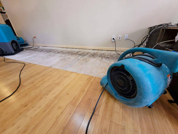 Professional Water Damage Repair technician working in Cleburne, TX
